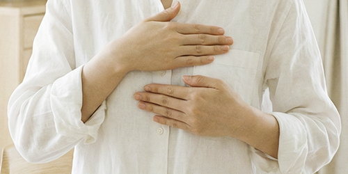 義乳及胸衣補助